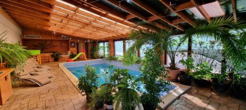 uma grande piscina interior com muitas plantas em DNT HOUSE & Spa em Cîrcea