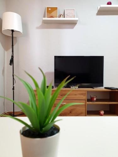 a living room with a potted plant and a television at Fenix Apartman in Zaječar