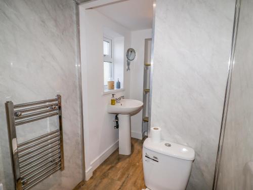 a bathroom with a toilet and a sink at Church View Cottage in Doncaster