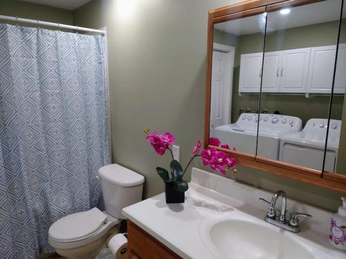 a bathroom with a toilet and a sink and a mirror at Red Island Cozy Casa in Summerside
