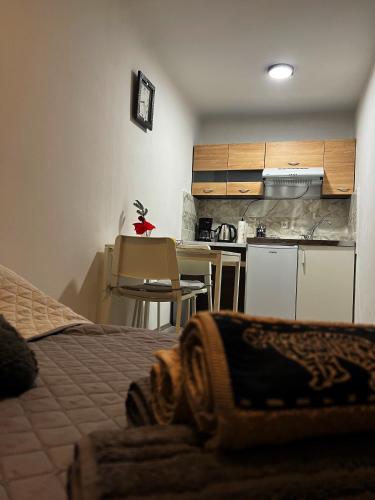 Studio apartman Rijeka