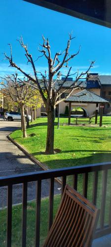 un banc assis sur une clôture à côté d'un arbre dans l'établissement Charming holiday apartment in the Pyrenees, à Err