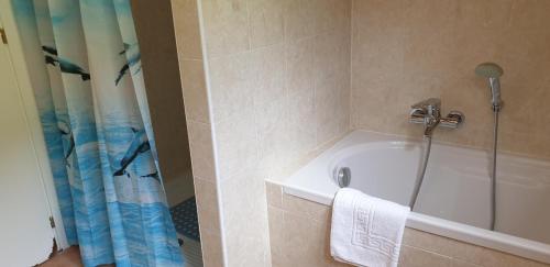 ein Badezimmer mit einer Dusche, einer Badewanne und einem Waschbecken in der Unterkunft Caffè del Viaggiatore in Valsolda