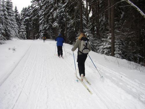 two people cross country skiing down a snow covered trail at Hotel Zur Henne in Schmiedefeld am Rennsteig