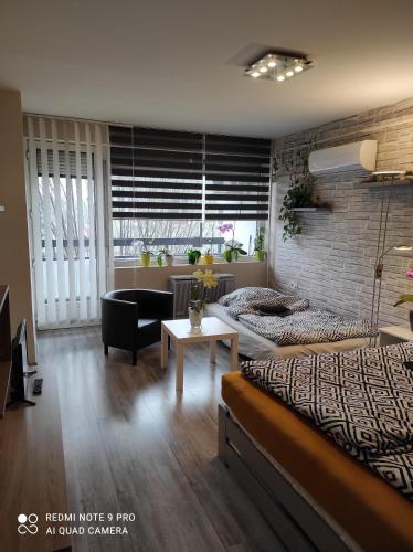 Baross apartman في كابوسفار: غرفة نوم مع سرير وغرفة معيشة
