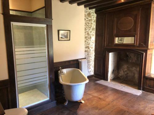 baño con bañera y chimenea en Château de Montautre en Fromental