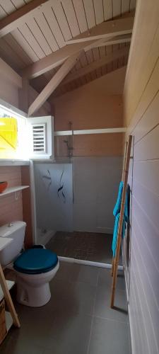 a small bathroom with a toilet and a shower at Gwadakaz in Sainte-Rose