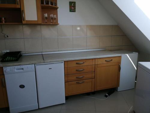 Kuchyň nebo kuchyňský kout v ubytování Apartman Nataša 3