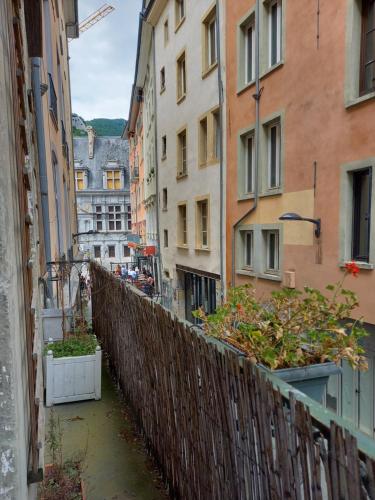 Une allée dans une ville avec des bâtiments et des plantes dans l'établissement Chambre chez l'habitant, à Grenoble