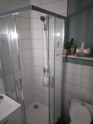 une salle de bain avec douche et toilettes dans l'établissement plage du Môle, au Cap d'Agde