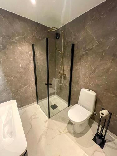 W łazience znajduje się prysznic, toaleta i umywalka. w obiekcie Villa Gulstua w mieście Røros