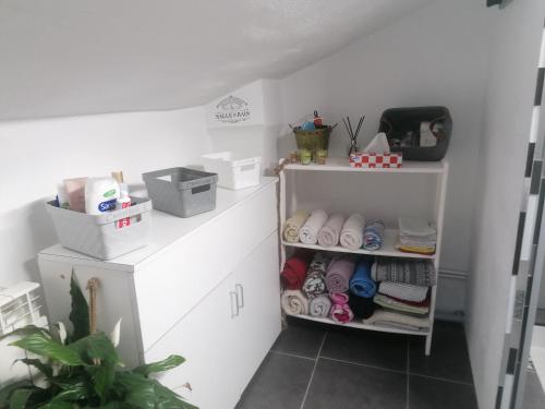 a room with white cabinets and a shelf at Chambre 23m2 avec jardin Wi-Fi gratuit Saint-Girons in Saint-Girons