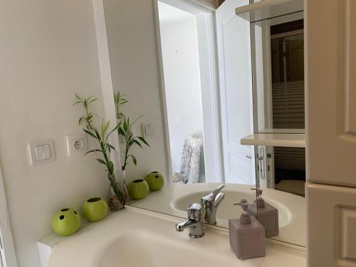 a bathroom with a sink and a mirror at Appartement detox au pied du semnoz in Seynod