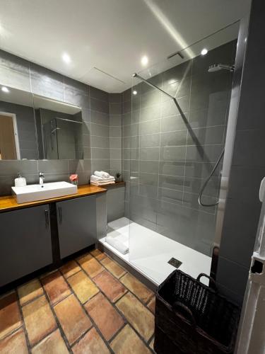 une salle de bain avec douche et lavabo dans l'établissement Nice Grand appartement face jardin, à Nice