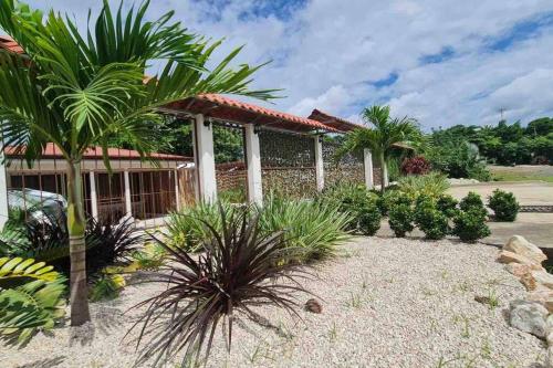 a garden in front of a house with palm trees at Ubuntu Glamping in Guanacaste