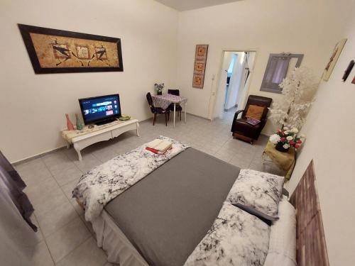 a living room with a couch and a television at Modern Studio Central Haifa Free WiFi דירת נופש מאובזרת בחיפה in Haifa