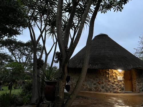 a stone house with a thatched roof with a tree at Kwakunje Guest Lodge in Dundee