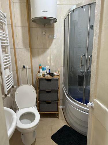 a bathroom with a toilet and a shower and a sink at Bright apartment in front of Vake Square in Tbilisi City
