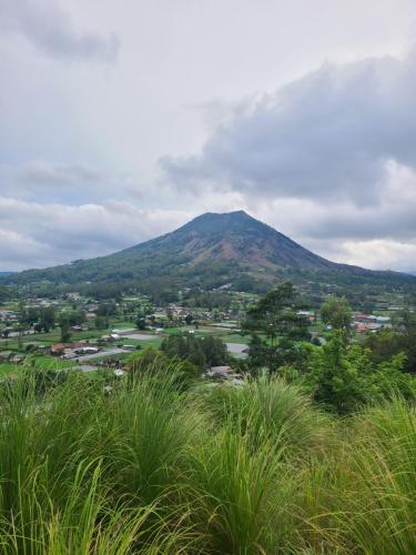 a view of a mountain with a town and a field at Volcano Lake View in Kintamani