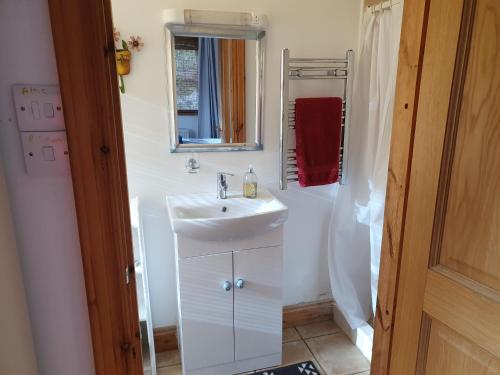 a bathroom with a white sink and a mirror at Cosy self contained cottage with stunning views in Killaloe