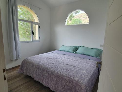 a bedroom with a bed and two windows at Casa Las Lavandas - LOS REYUNOS in San Rafael