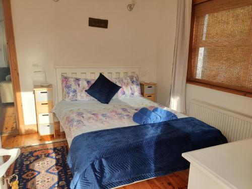 um quarto com uma cama com lençóis azuis e uma janela em Cosy self contained cottage with stunning views em Killaloe