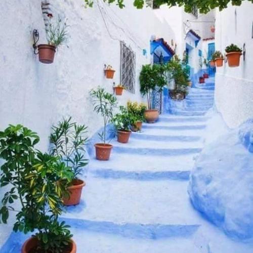 a painting of a street with potted plants at Dar Casa Plasa Grande in Chefchaouene