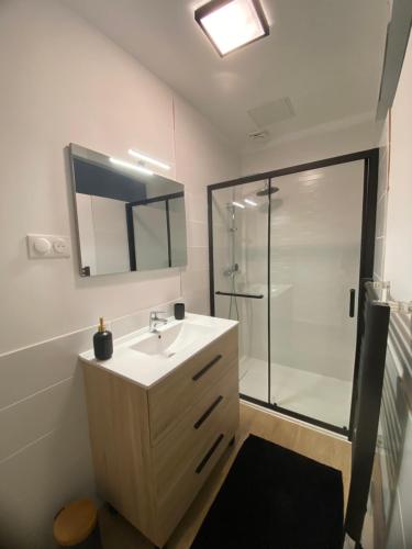 a bathroom with a sink and a shower at Le bon coin in Le Creusot