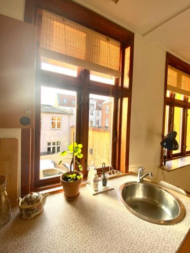 a kitchen with a sink and a window with a plant at En hel lejlighed i midtbyen - centralt, tæt på alt og med parkering! in Randers