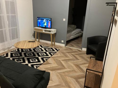 Televízia a/alebo spoločenská miestnosť v ubytovaní Grand Studio proche st pierre/château