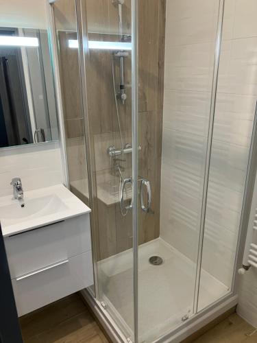 une salle de bain avec douche et lavabo dans l'établissement Grand Studio proche st pierre/château, à Saumur