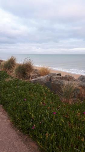 a beach with plants and the ocean in the background at Chez Jeanne in Saint-Laurent-sur-Mer