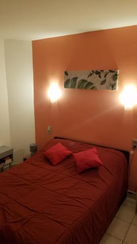 een slaapkamer met een rood bed met 2 rode kussens bij Appartement cure ou vacances avec WIFI et parking et à 100m des thermes in Amélie-les-Bains-Palalda