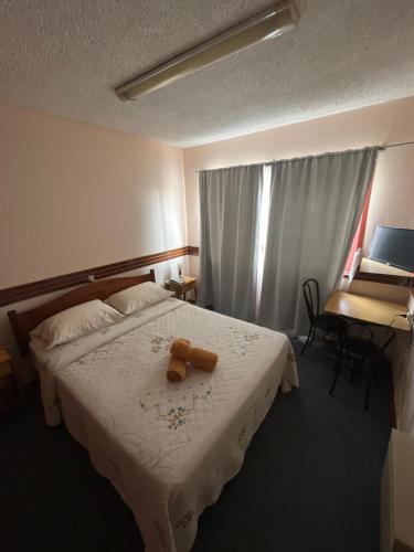 Hotel Alerce – Fotoğraflar 5