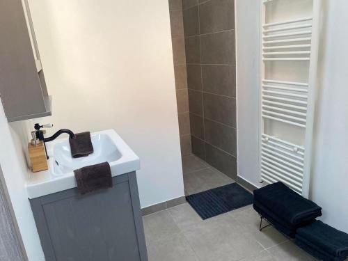 La salle de bains est pourvue d'un lavabo et d'une douche. dans l'établissement FDS Cosy House, à Gand
