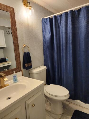 a bathroom with a toilet and a blue shower curtain at 1 Bdrm Grand Canyon Bridge Rental in Dolan Springs
