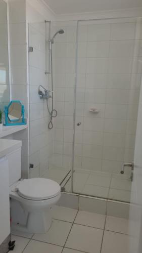 a white bathroom with a shower and a toilet at Bella Vista in Coquimbo