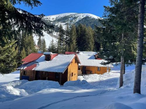 a cabin covered in snow with a mountain in the background at GAGO’S WOODEN HOUSE in Plav