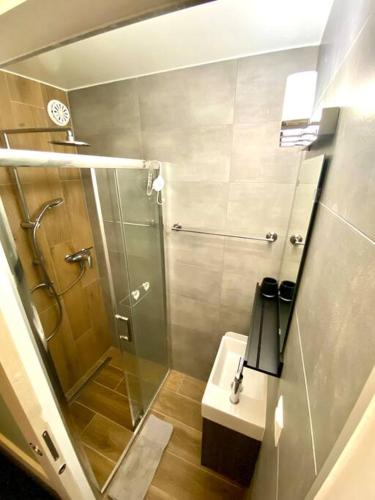 une salle de bain avec douche et lavabo dans l'établissement Cosy duplex in Chatel centre with indoor Parking, à Châtel