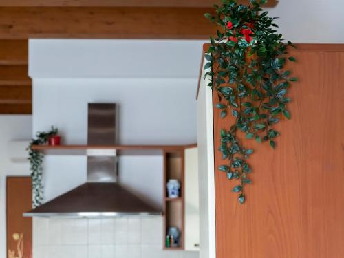 a kitchen with a hanging plant on a door at Appartamento ISOTTA in Lugo