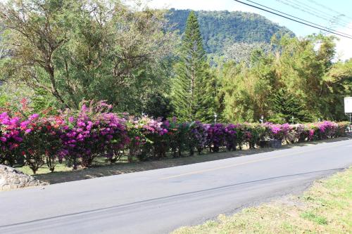 a row of flowers on the side of a road at Hotel Valle Verde in Valle de Anton