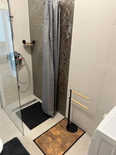 a shower with a glass door and a black rug at City Rent 1 in Osijek