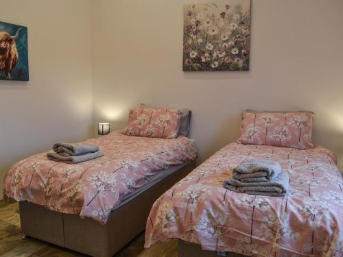 a bedroom with two beds and a painting on the wall at Branwen in Llanfachraeth