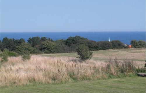 a field of grass with the ocean in the background at Four-Bedroom Holiday Home In Allinge in Allinge
