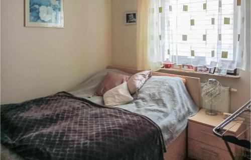ein kleines Schlafzimmer mit einem Bett und einem Fenster in der Unterkunft 3 Bedroom Amazing Home In Parzensko in Nowogródek Pomorski