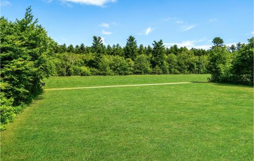 a large grass field with trees in the background at Beautiful Home In Hampen With Wifi in Hampen