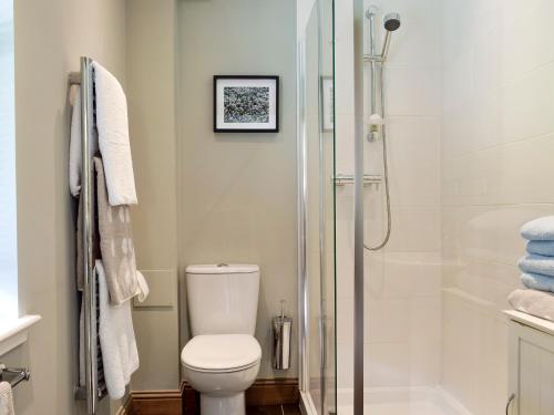 a bathroom with a toilet and a shower at Acorn Cottage in Kippen