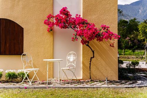 a table and two chairs and a tree with pink flowers at W Starry Villa in Ruisui