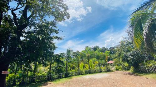 Fotografie z fotogalerie ubytování Dandeli Kingfisher Jungle Stay v destinaci Dandeli
