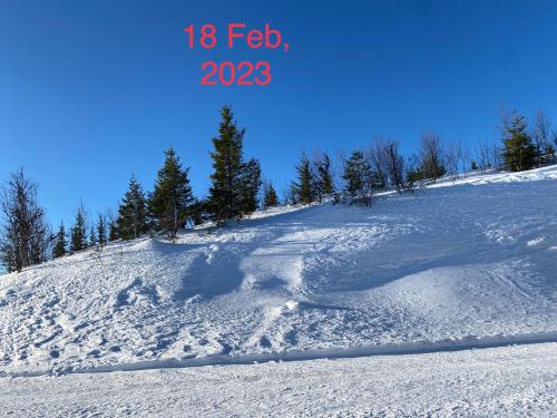 Perfect moutain getaway! Beautiful Apartment at Skagahøgdi with Panoramic View v zimě
